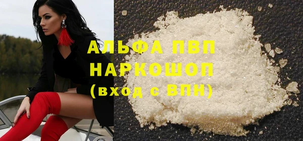 индика Киренск