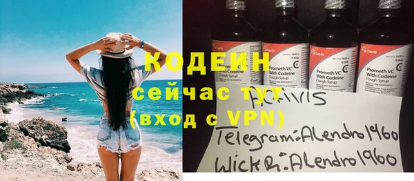 индика Киренск