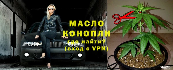 индика Киренск