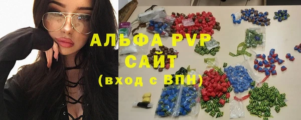 индика Киренск