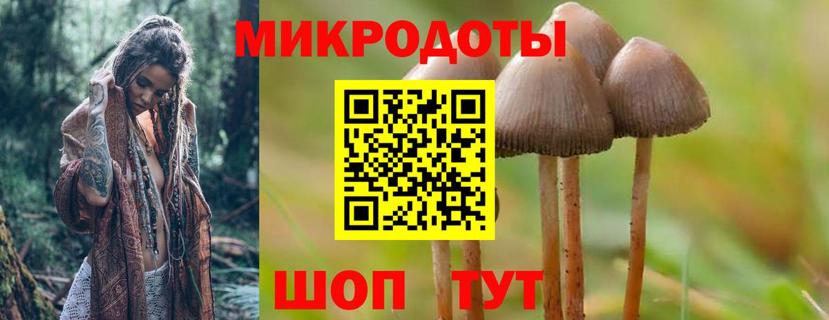 Псилоцибиновые грибы Psilocybine cubensis  Вход с VPN  Москва 