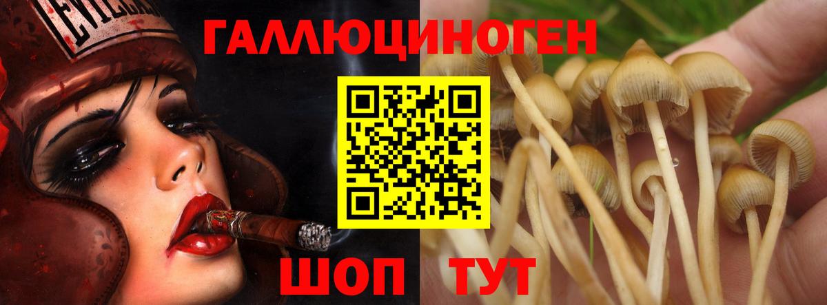Галлюциногенные грибы мухоморы Москва